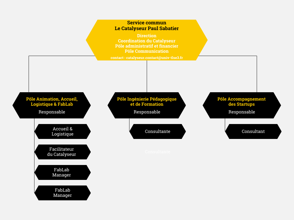 organisation Catalyseur